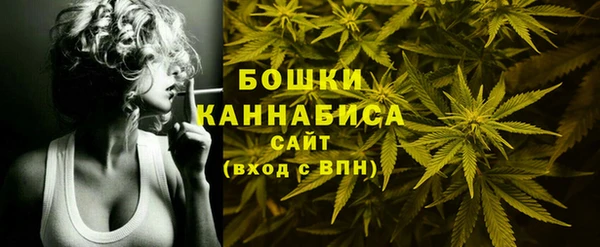 сатива Козельск