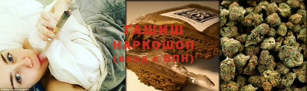 сатива Козельск