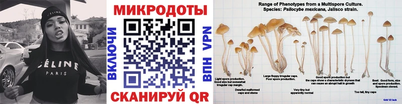 Галлюциногенные грибы Psilocybine cubensis  Купить где  Балтийск 
